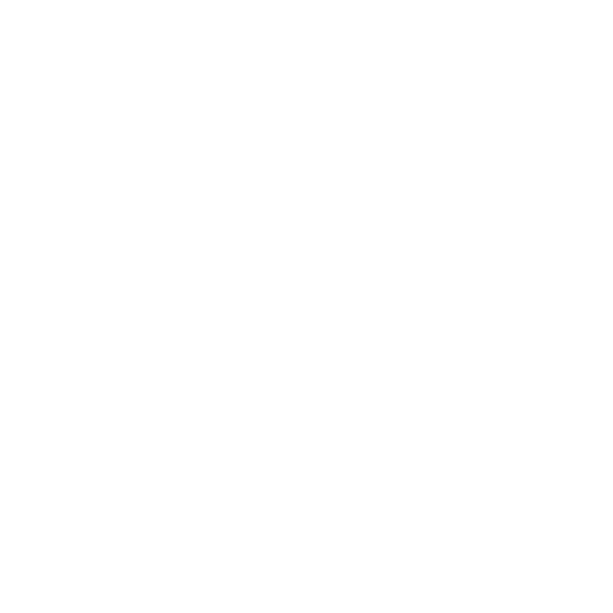 WordPress  Development